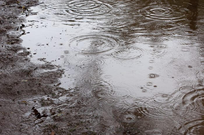 雨の水たまり